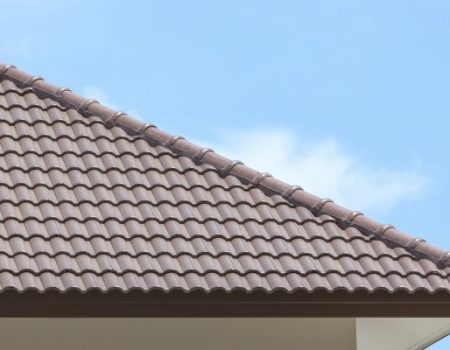 Roof-800x400